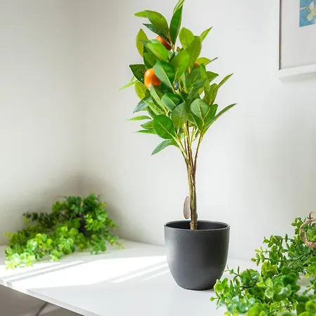 Historique - Louvre, Notre Dame, Les Halles Paříž